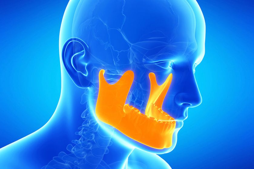 Digital anatomical illustration highlighting the lower jaw
